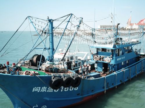 泉港有招 疫情防控和渔业生产 两手抓