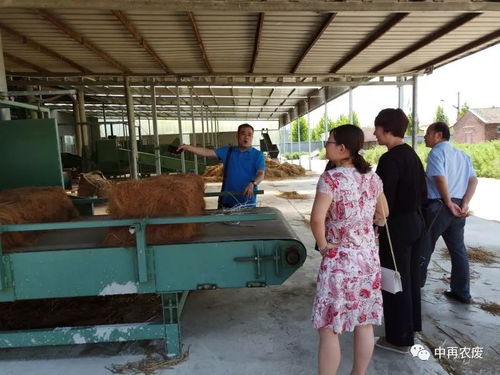 中再协农林废弃物综合利用分会赴天津亚德尔秸秆收储打包建设标准调研