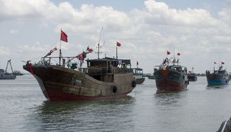 海南32艘渔船组队赴南沙捕捞 今天开展作业